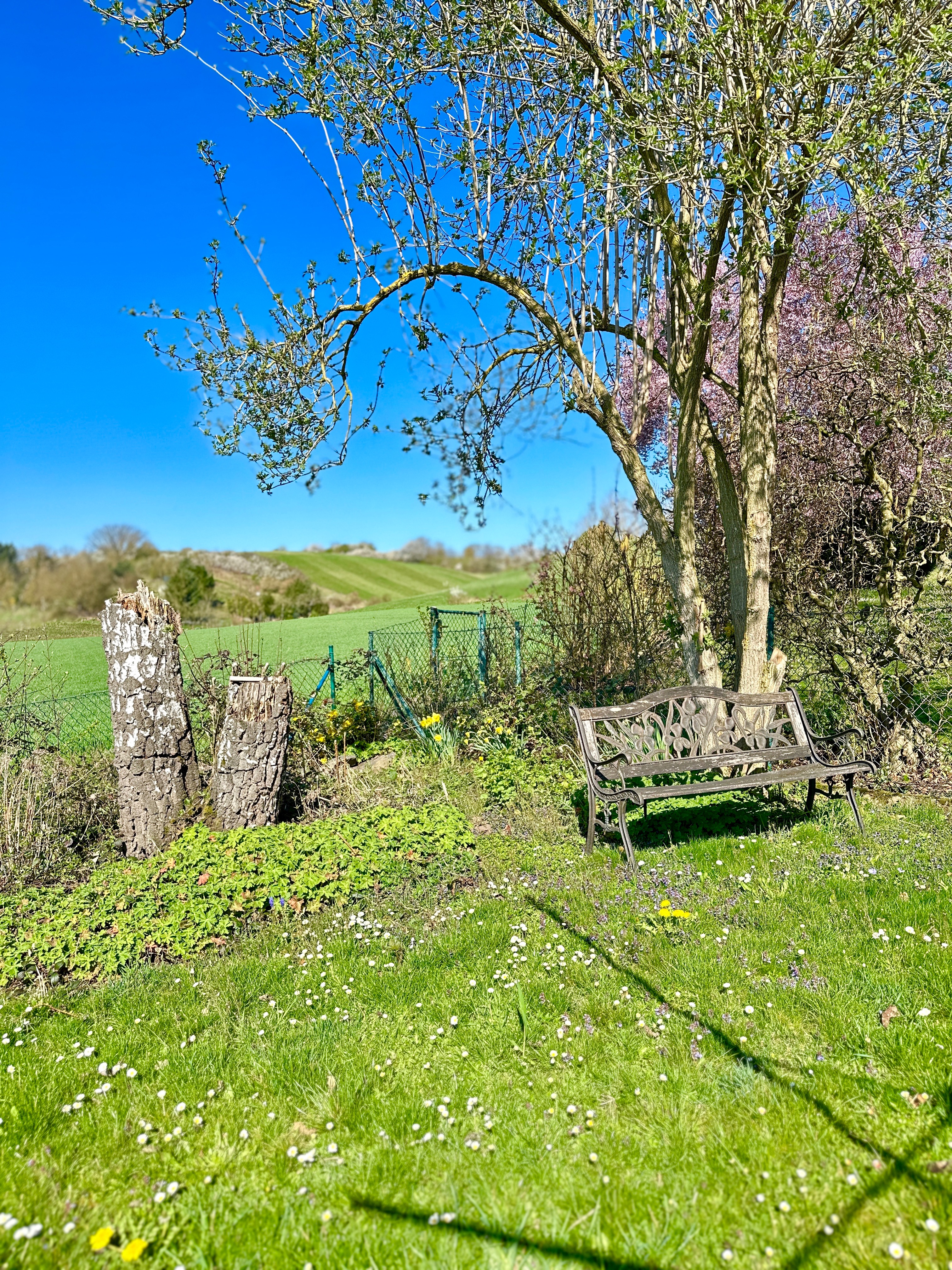 Natur pur - Weitblick inklusive! Großzügig und entspanntes Wohnen in herrlicher Ortsrandlage mit Blick ins Grüne! bei Degenhardt Immobilien